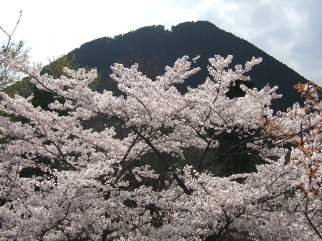 ホニャララ富士