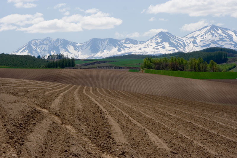 ホニャララ富士