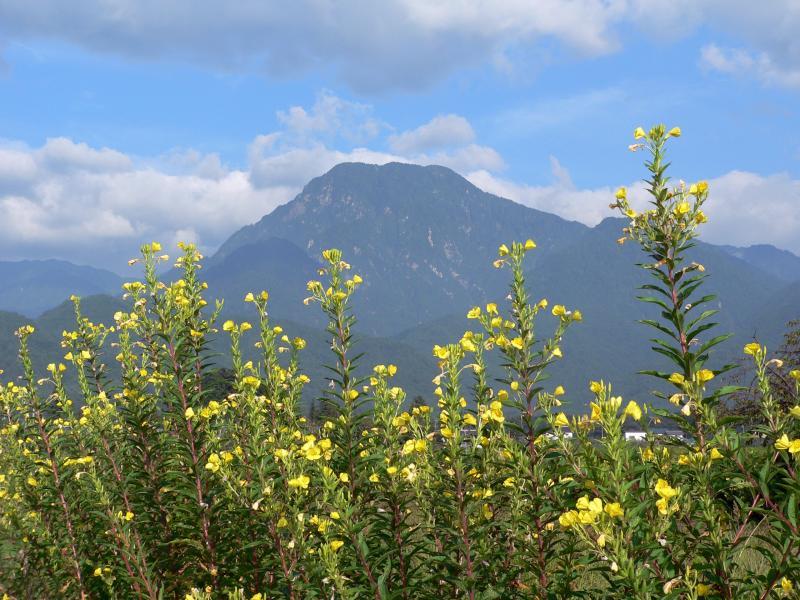 ホニャララ富士