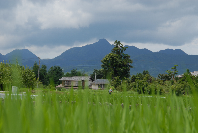 ホニャララ富士