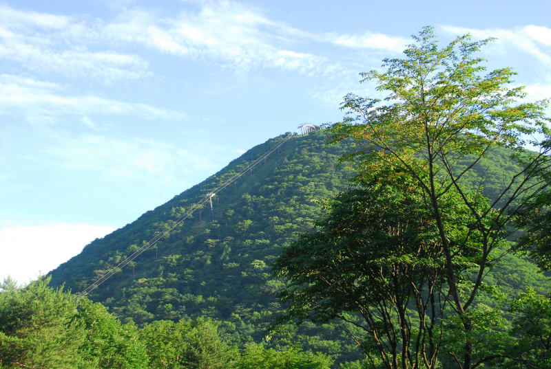 ホニャララ富士