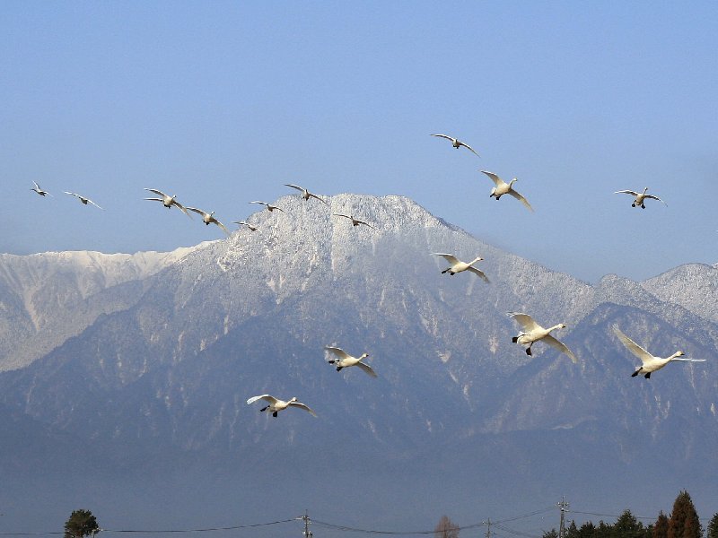 ホニャララ富士