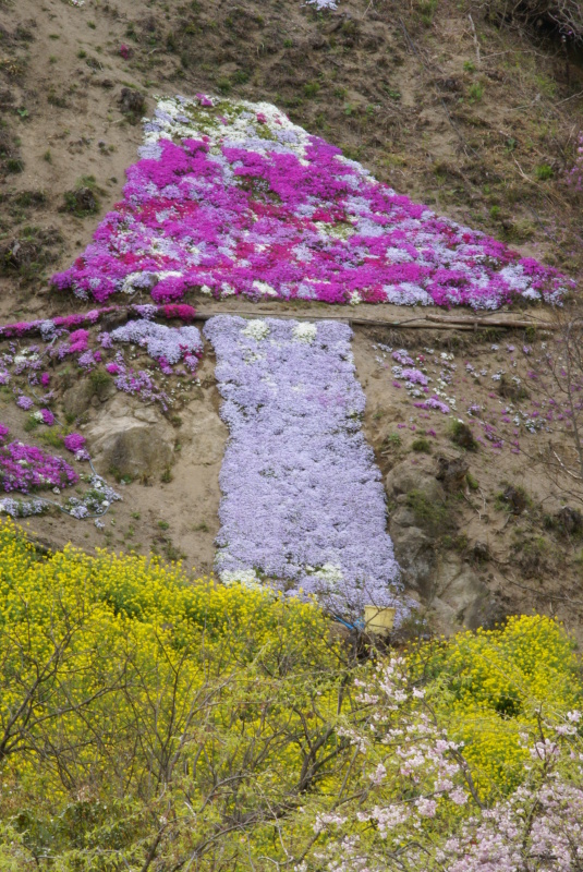 ホニャララ富士