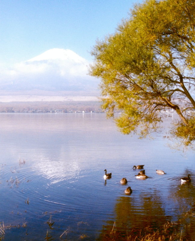 富士山画像記録