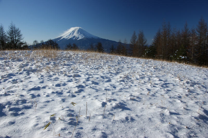 富士山画像記録