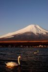富士山画像記録