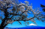 富士山画像記録