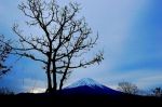 富士山画像記録