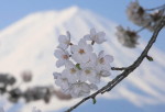 風景一般