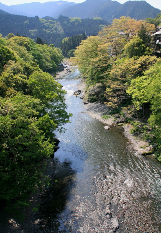 風景一般