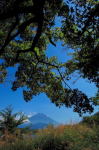 富士山画像記録