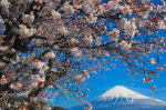 富士山画像作品