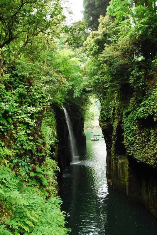 風景一般