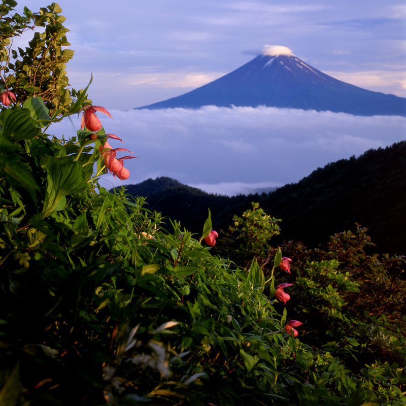 富士山画像作品