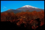富士山画像作品