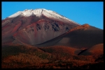 富士山画像作品