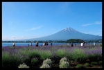 富士山画像記録