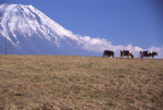 富士山画像記録