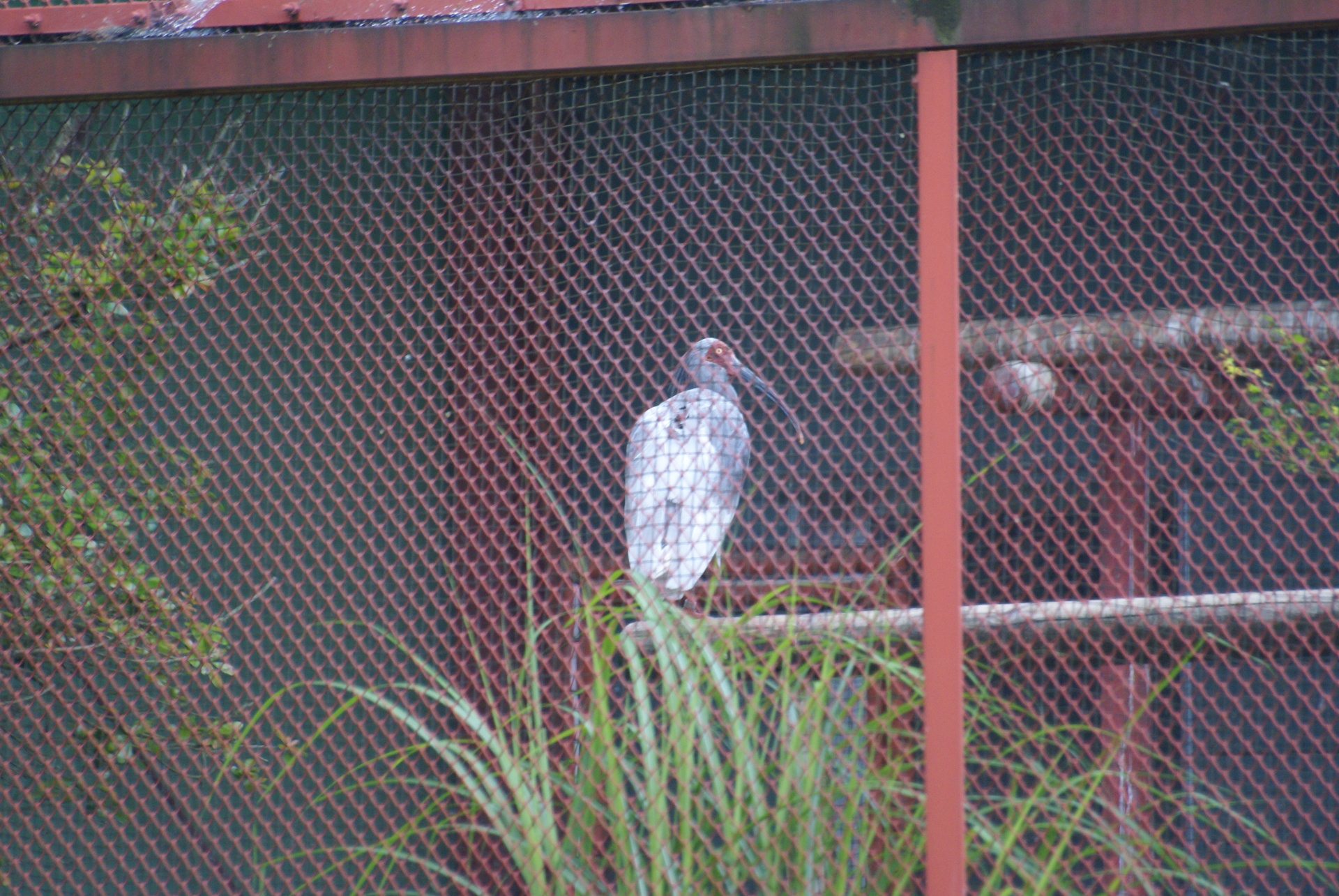 日本の世界遺産