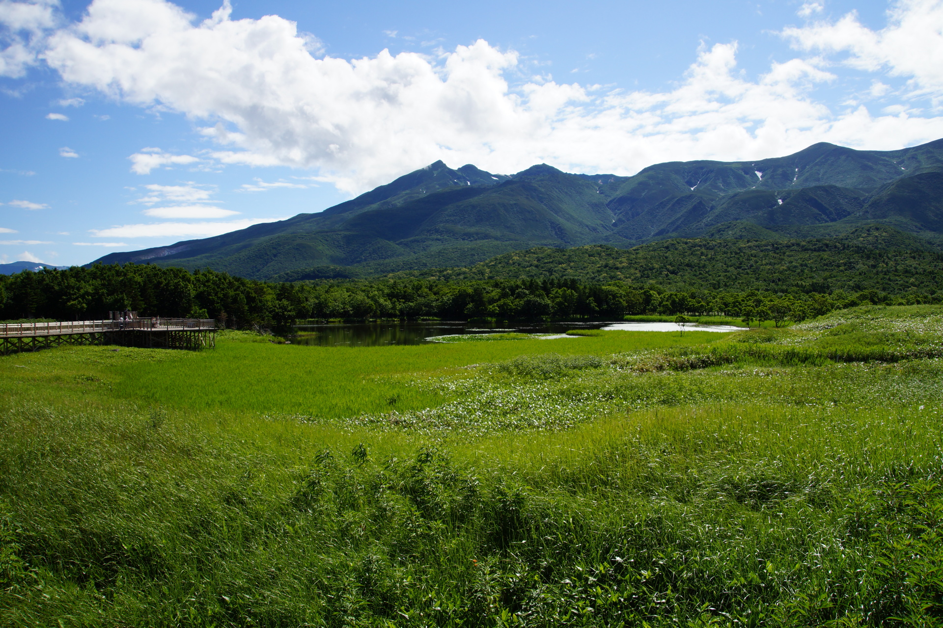 日本の世界遺産