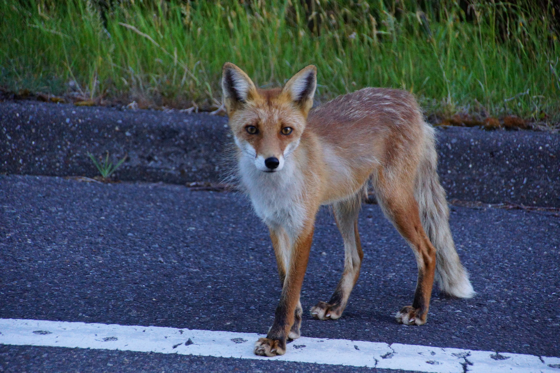 日本の世界遺産