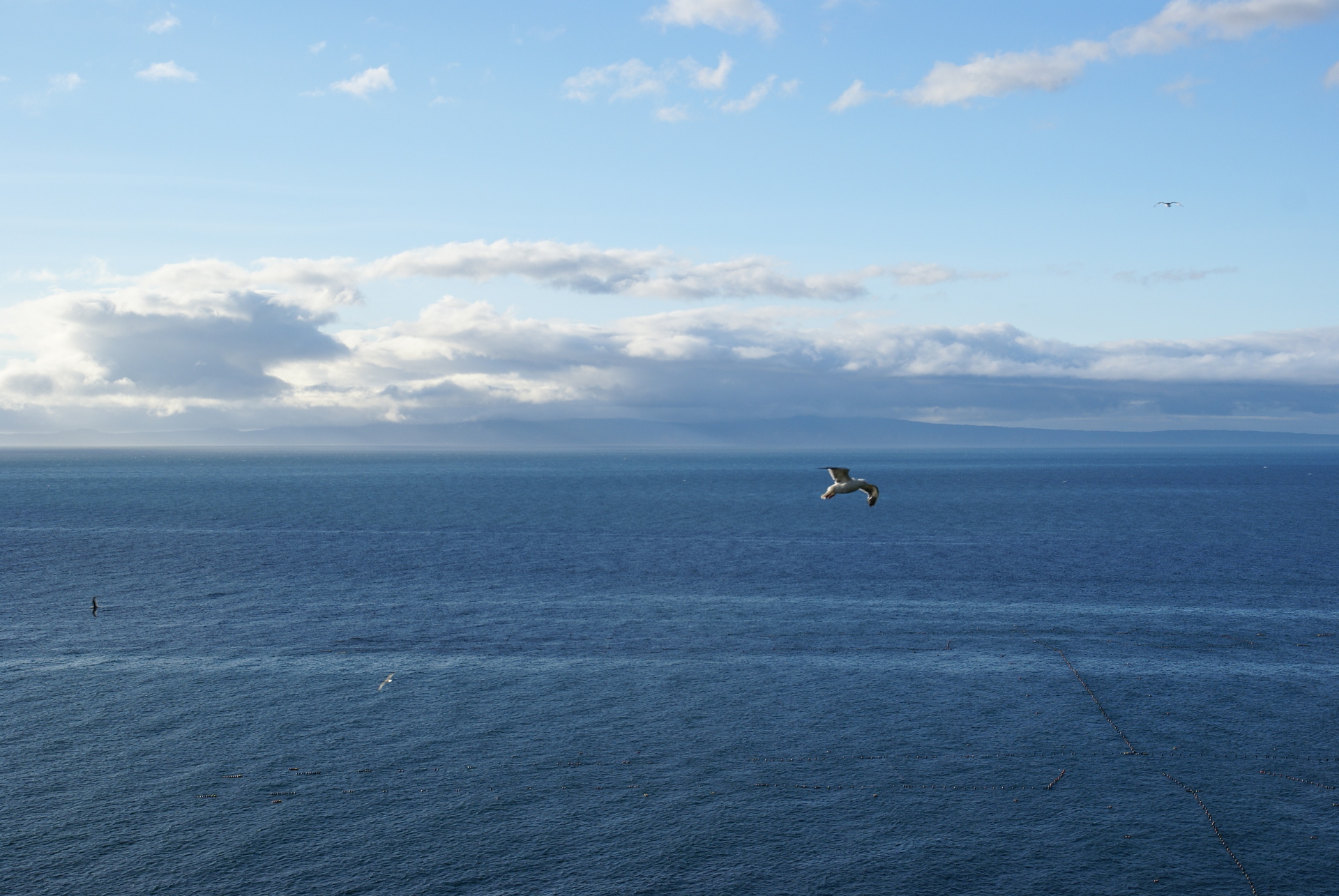 日本の世界遺産