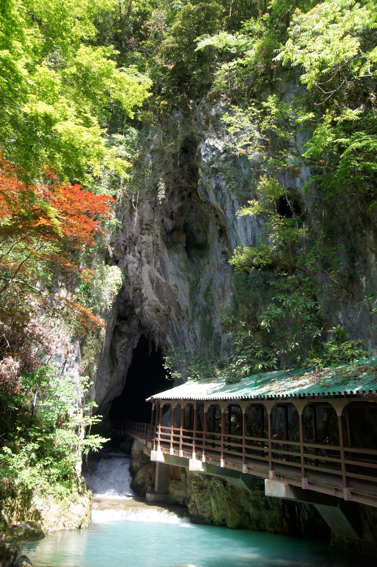 日本の世界遺産