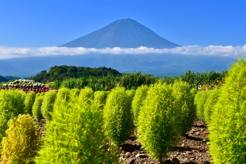 富士山画像記録