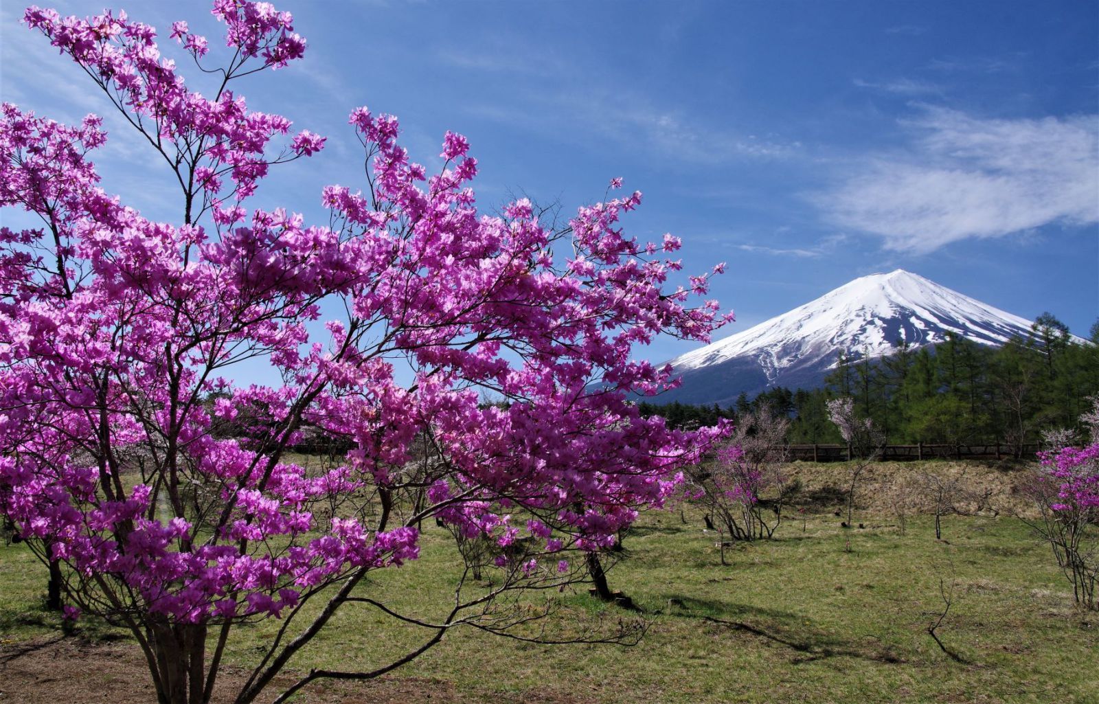 富士山画像記録