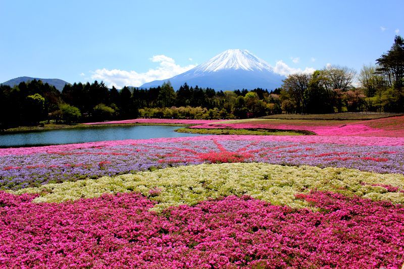 富士山画像記録