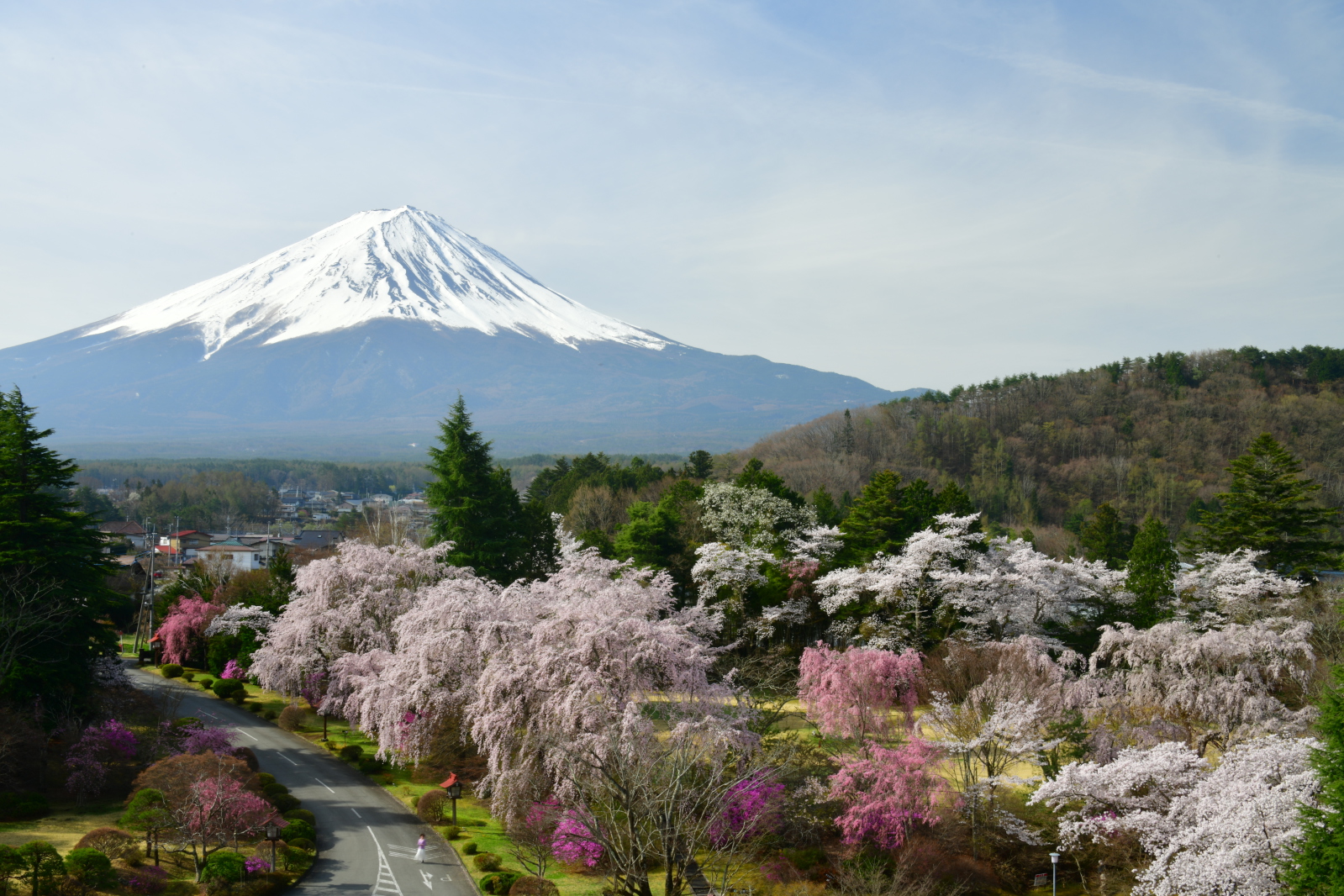 富士山画像作品