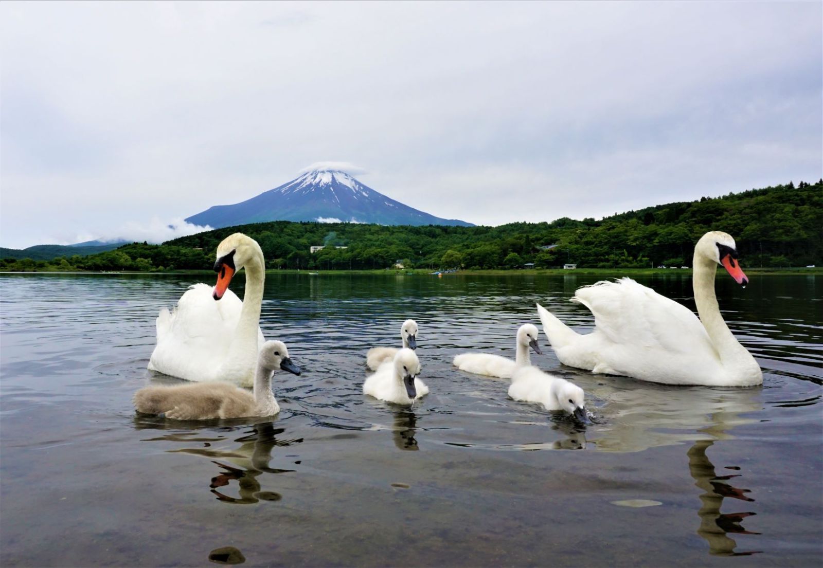 富士山画像記録