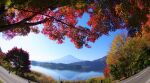 富士山画像記録