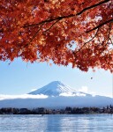 富士山画像記録