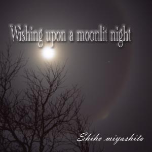 Wish upon a moonlit night