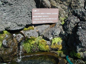 道の駅なるさわ