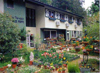 健康温泉ペンション ブルーポピー