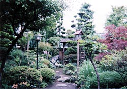 山湖観