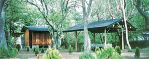 湖山荘キャンプ場