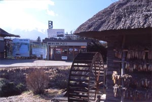 榛の木林資料館