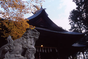 冨士御室浅間神社（里宮・本殿）