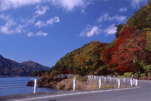 富士河口湖もみじマーチ