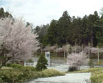 富士北麓公園運動場