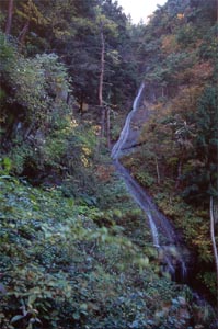 白糸の滝（富士吉田）