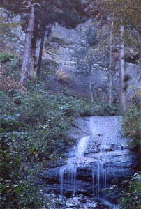 白糸の滝（富士吉田）