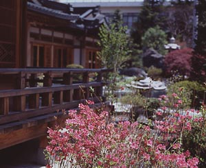 蕎麦道場