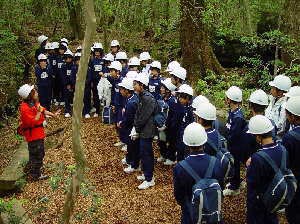 特定非営利活動法人（NPO）　富士山クラブ（もりの学校）