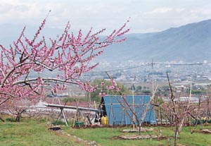 花炭小屋