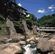 箱根堂ヶ島温泉　対星館　花かじか