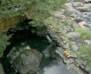 箱根堂ヶ島温泉　対星館　花かじか